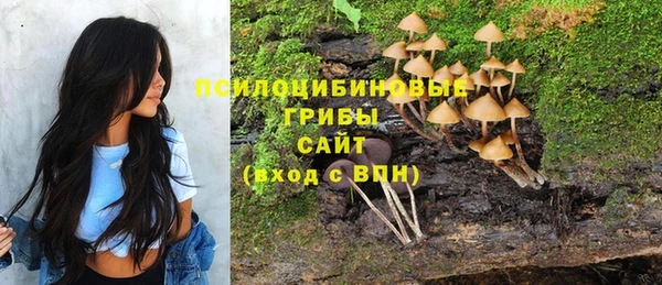 мескалин Алексин