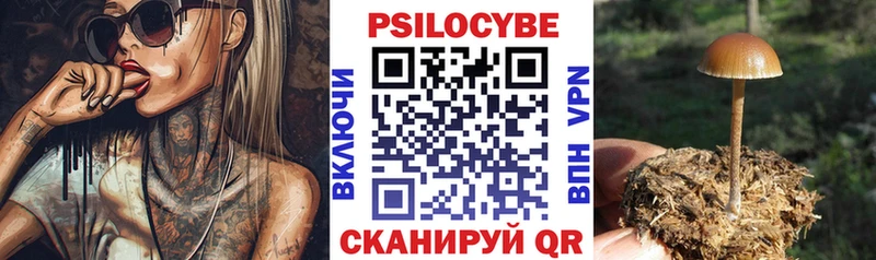 Галлюциногенные грибы MAGIC MUSHROOMS  Любань 