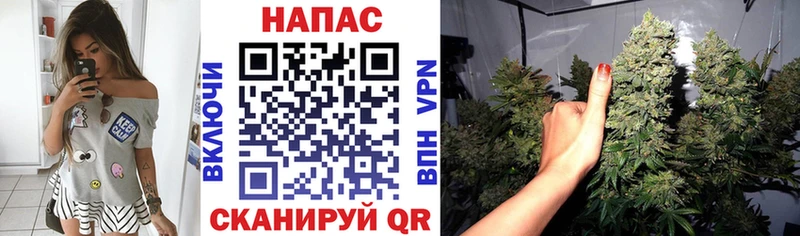 МЕГА вход  Любань  Конопля ГИДРОПОН  где продают  